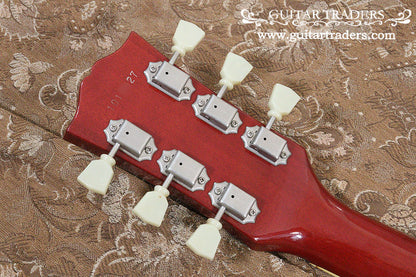 Tokai 1981y LS100 "Birdseye Maple Top"